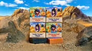 Dragon Ball Z 4-Pack - Outdoor Daily Pack