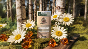 Birchwood Breeze Invisible Glide Deodorant - Smooth Travel Routine