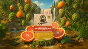 Grapefruit IPA - Classic Shower Routine