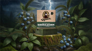 Sierra Storm - Bright Fresh Lather