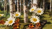 Birchwood Breeze Spray Deodorant - Smooth Fresh Glide