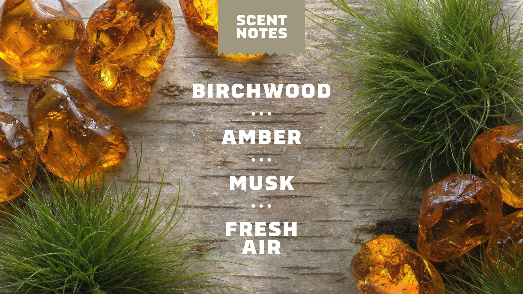 Birchwood Breeze Invisible Glide Deodorant - Smooth Travel Routine