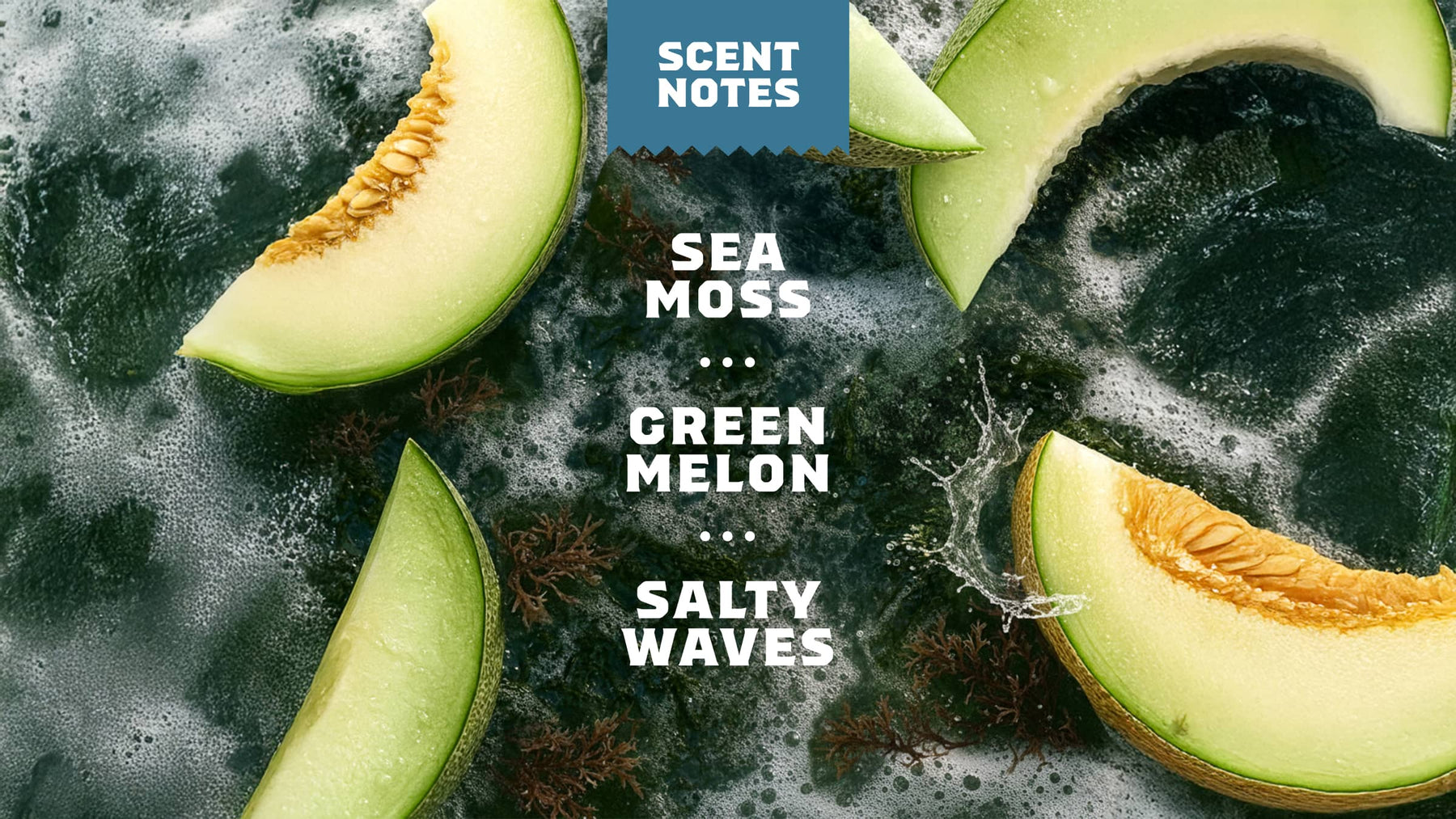 Coastal Mist - Modern Shower Wash