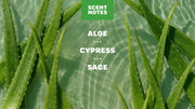 Cool Fresh Aloe Deodorant - Modern Fresh