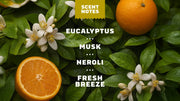 14 oz Mountain Meadow Body Wash - Easy Fresh Bar
