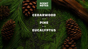 Conditioning Beard Oil & Cologne Woodland Pine - Fresh Daily Style
