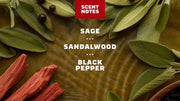 Sandalwood Summit Invisible Glide Deodorant - Premium Active Routine
