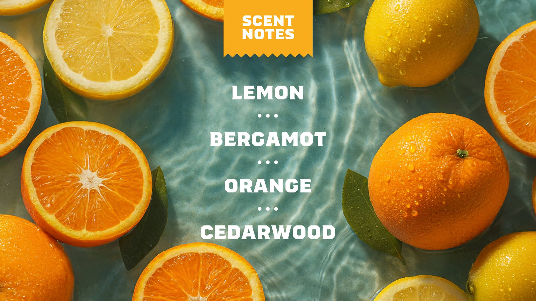 14 oz Summer Citrus Body Wash - Outdoor Wash