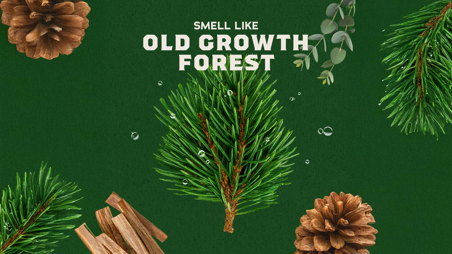 Conditioning Beard Oil & Cologne Woodland Pine - Fresh Daily Style