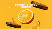 Summer Citrus Invisible Glide Deodorant - Daily Collector Lineup
