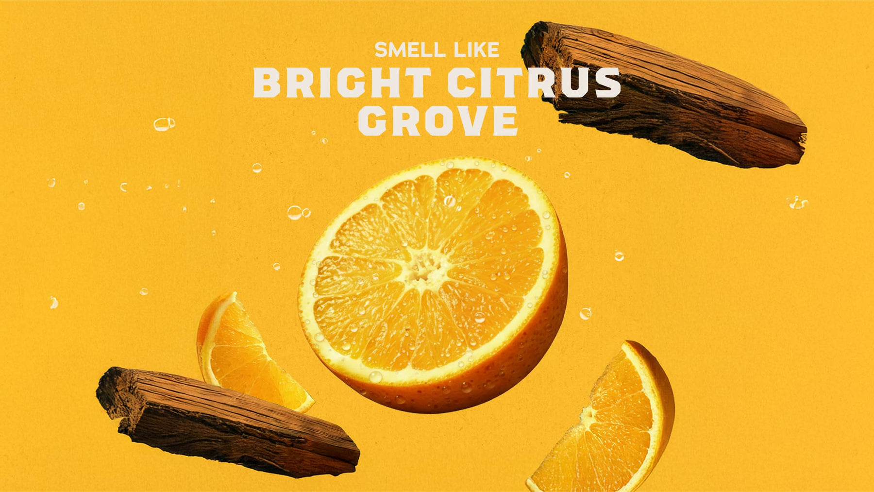 Summer Citrus Invisible Glide Deodorant - Daily Collector Lineup