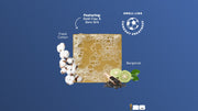 Golden Glory - Daily Fresh Routine